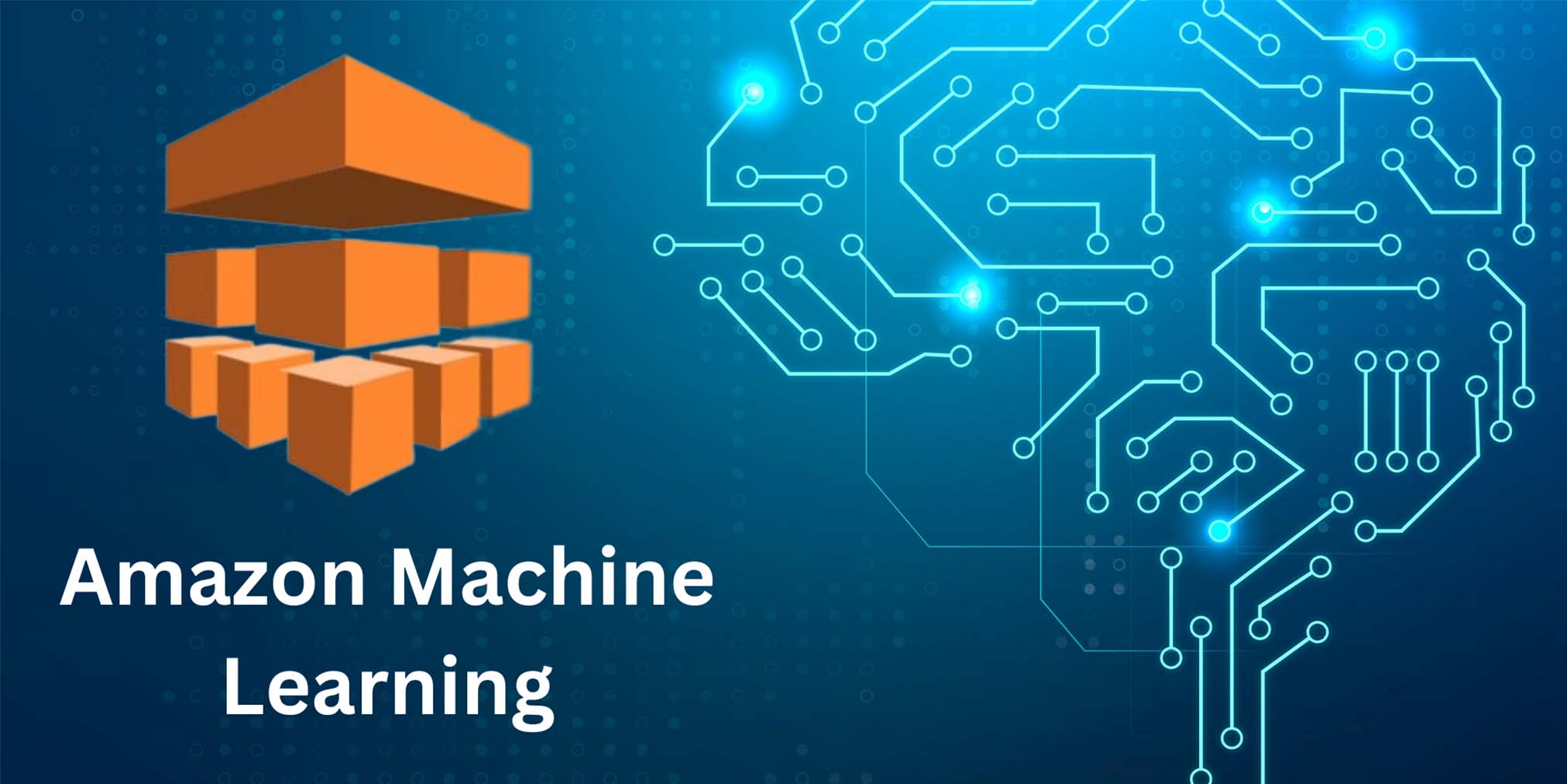 Amazon-Machine-Learning-Predictive-Modelling-Tools