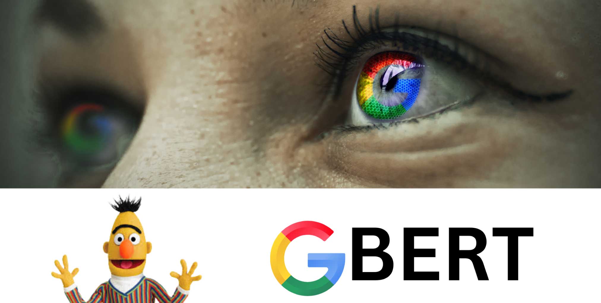 Google Bert