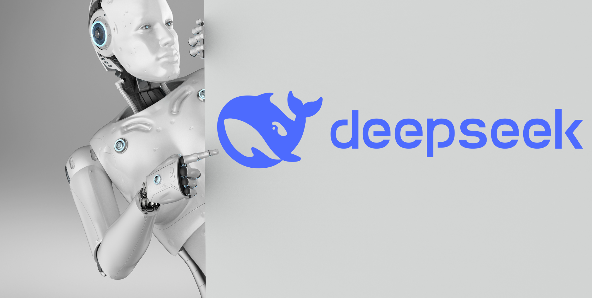 What is DeepSeek